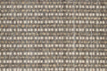 Bark