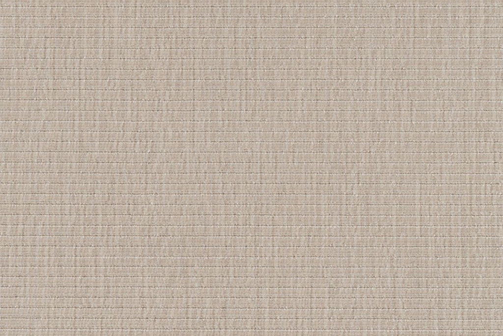 Birch