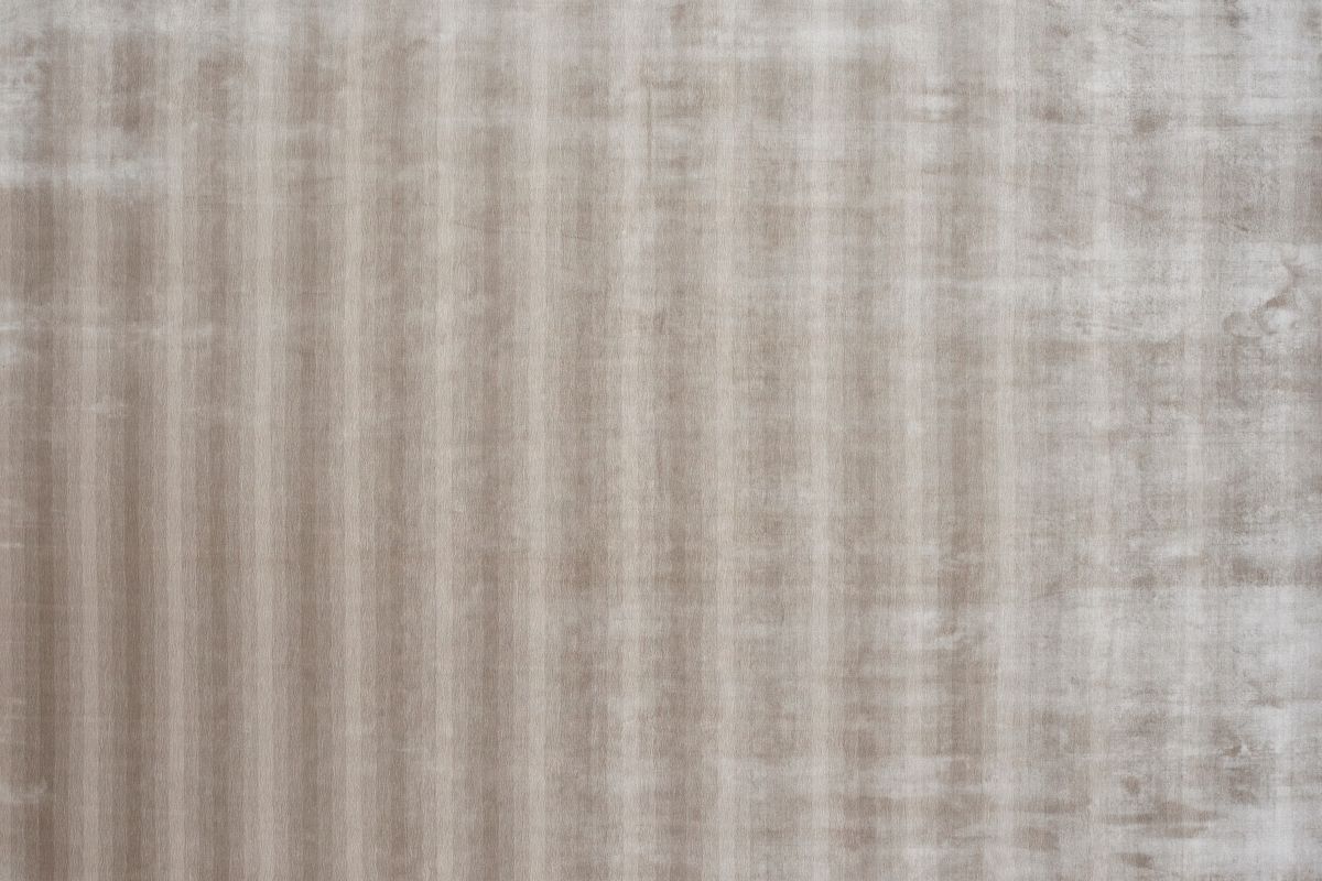 Fawn
