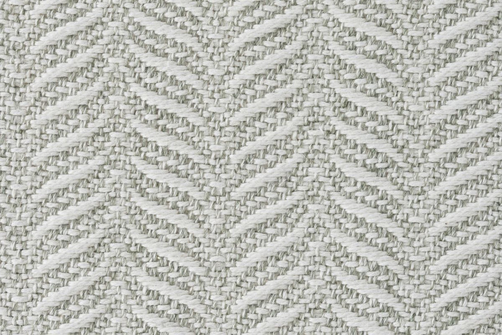 Fern