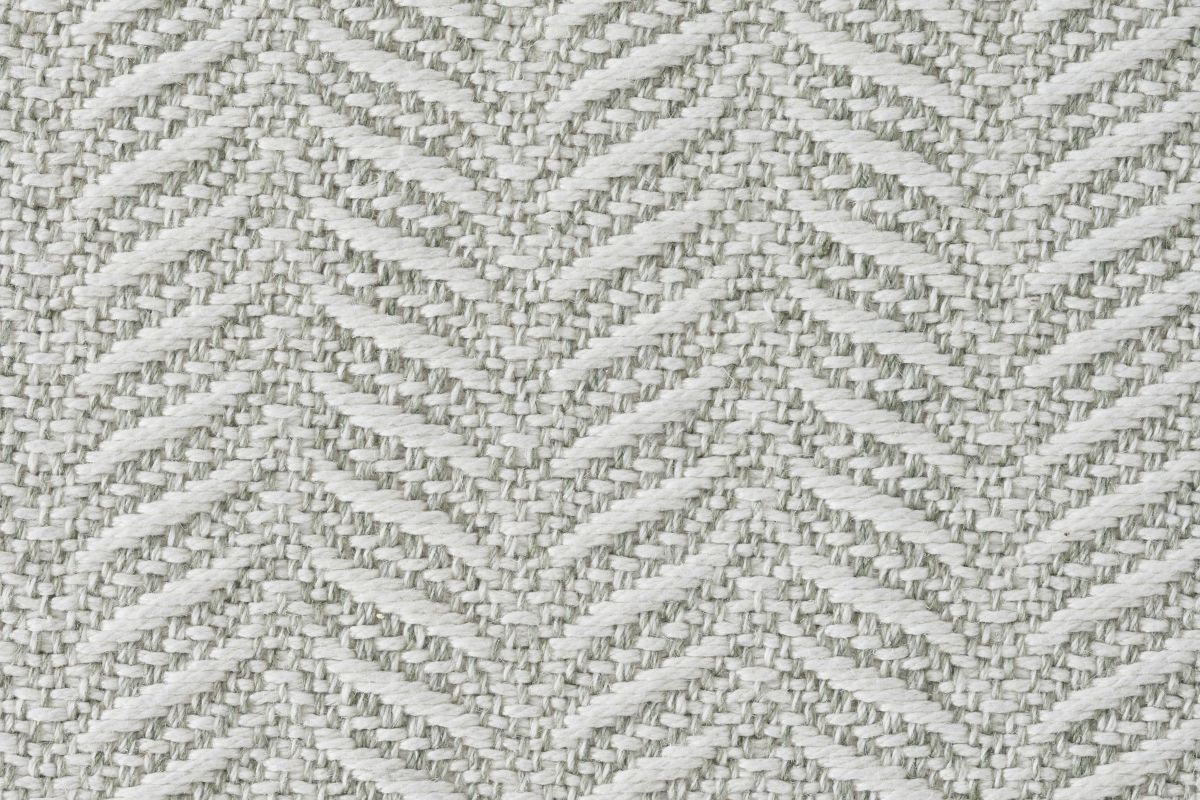 Fern