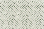 Grass