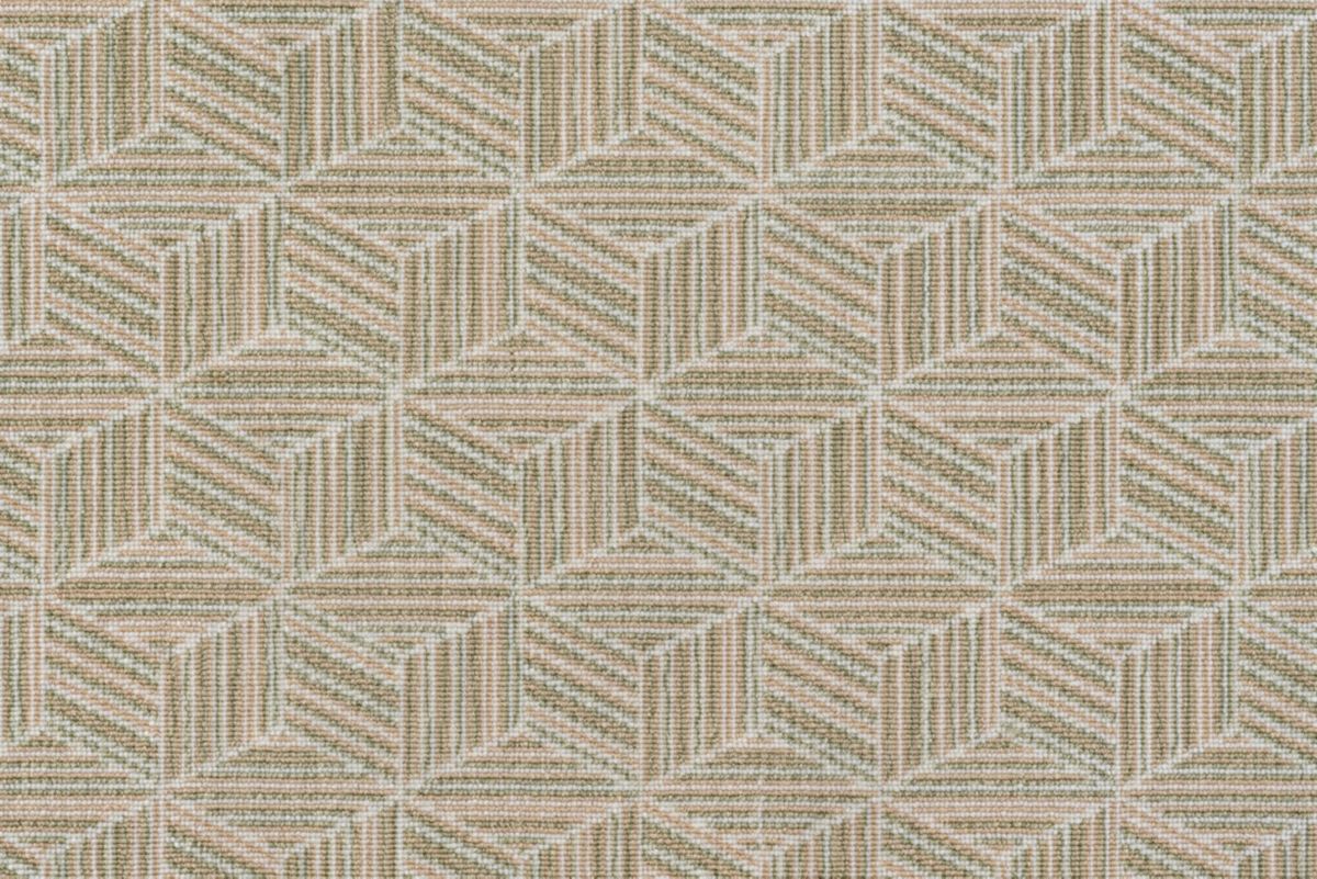 Lichen