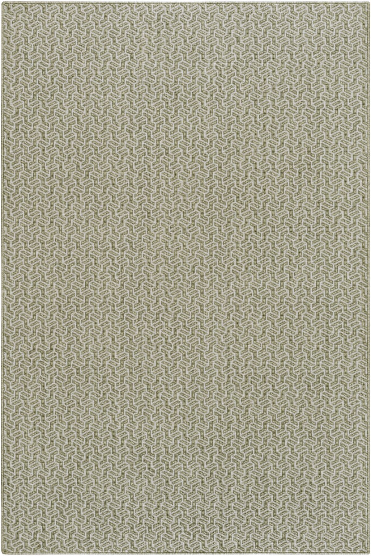 Lichen