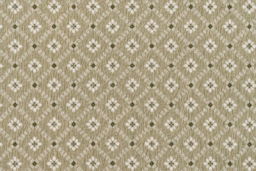 Lichen