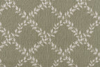 Lichen
