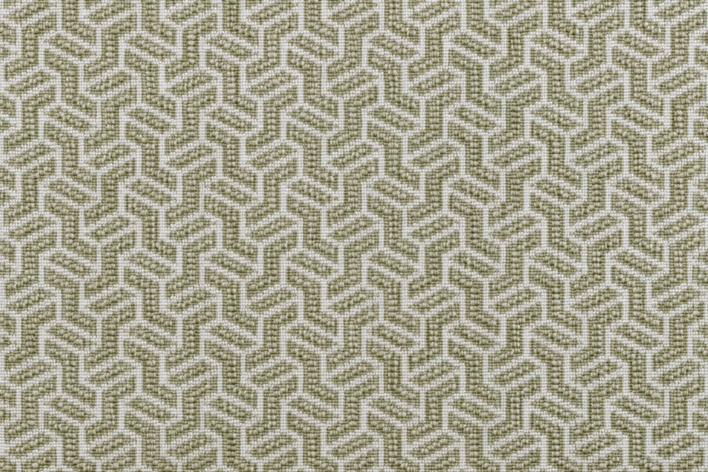 Lichen