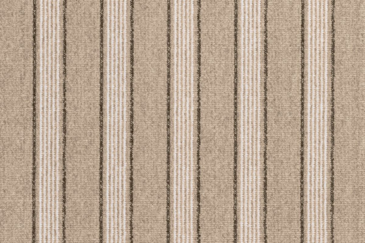 Sahara