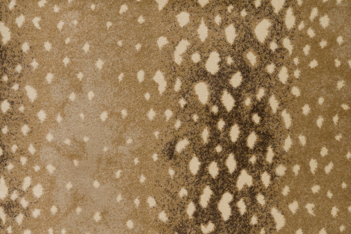 Sand