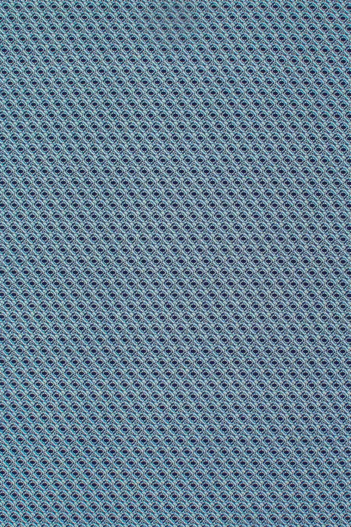 T01000923_ALT2