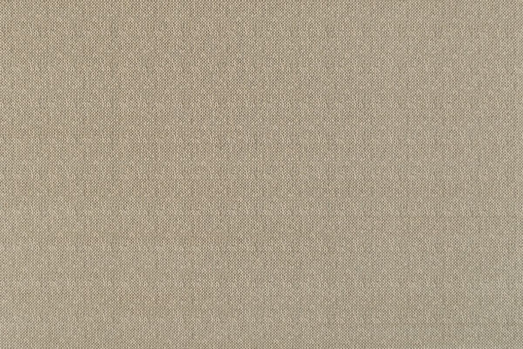 T01001319_ALT2
