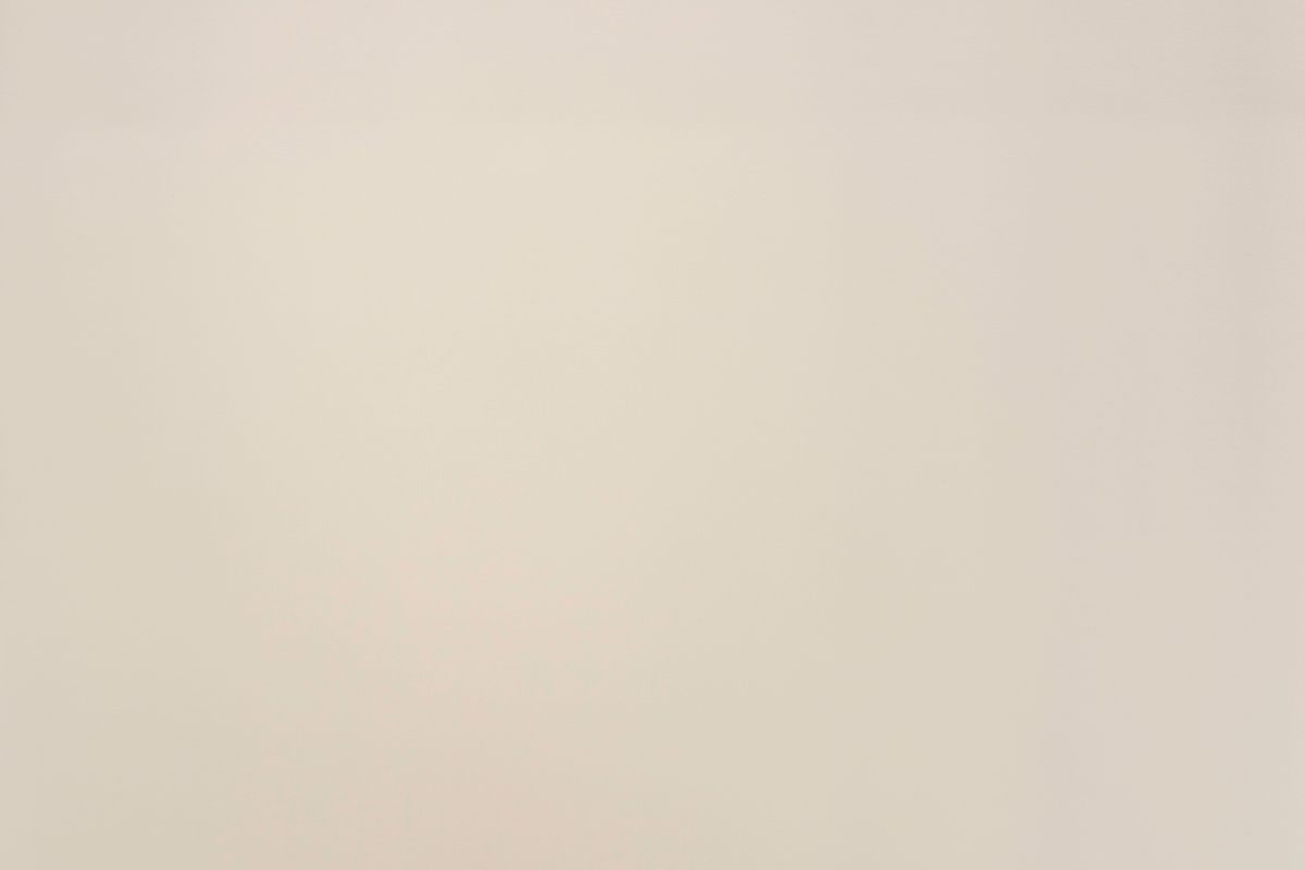 T01003497_ALT2