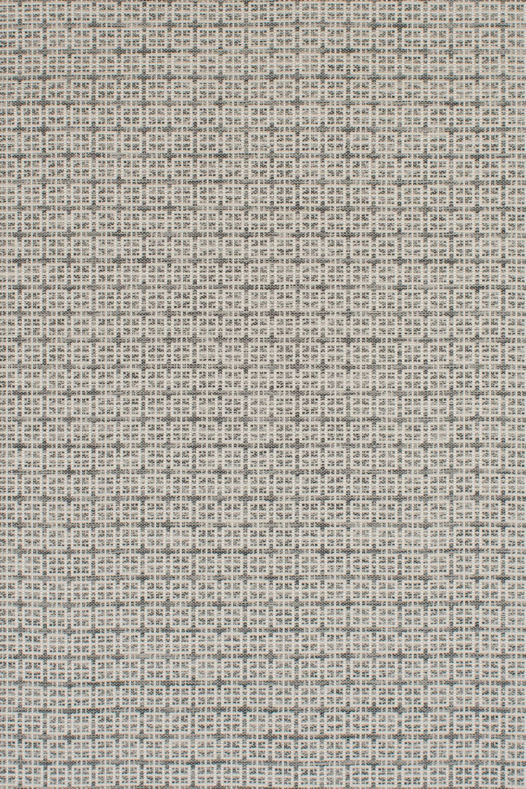 T01005778_ALT2