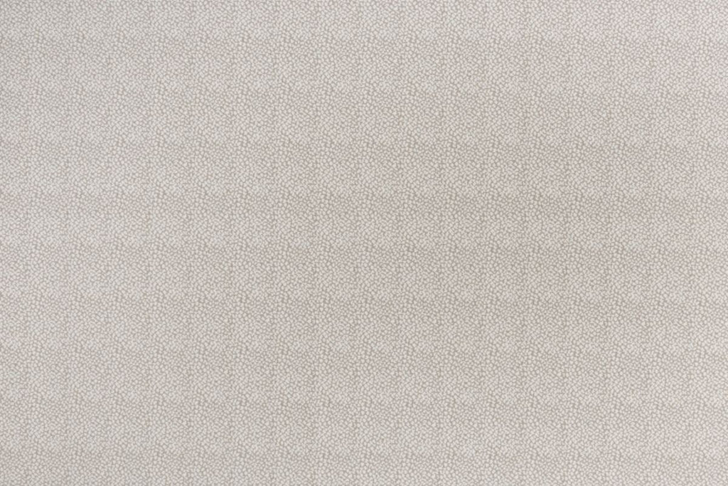 T01006886_ALT2