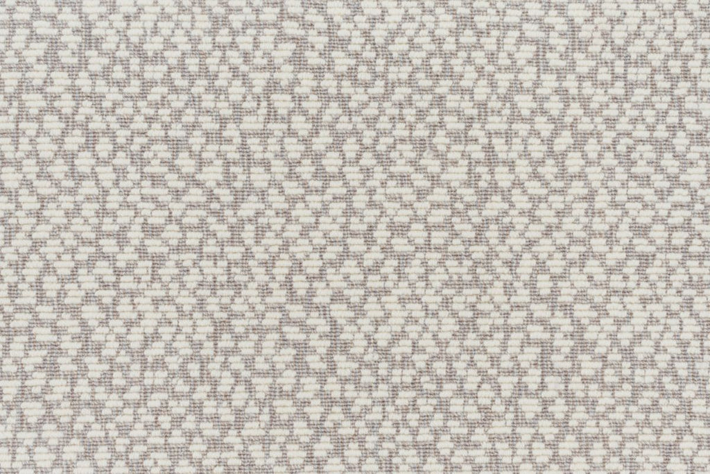 T01006886_CL