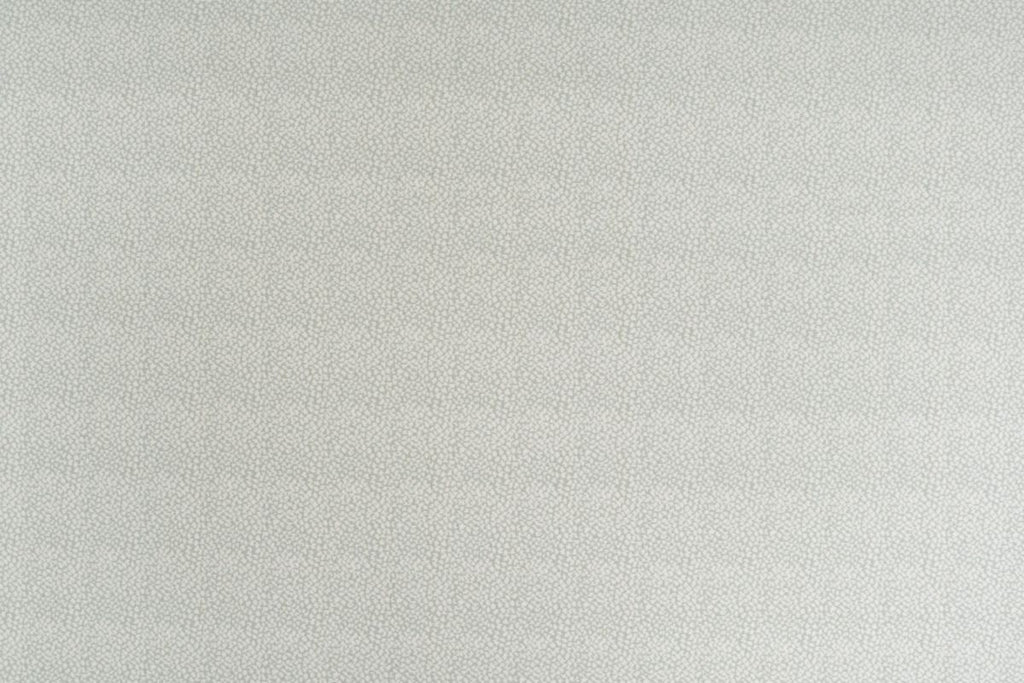 T01006887_ALT2