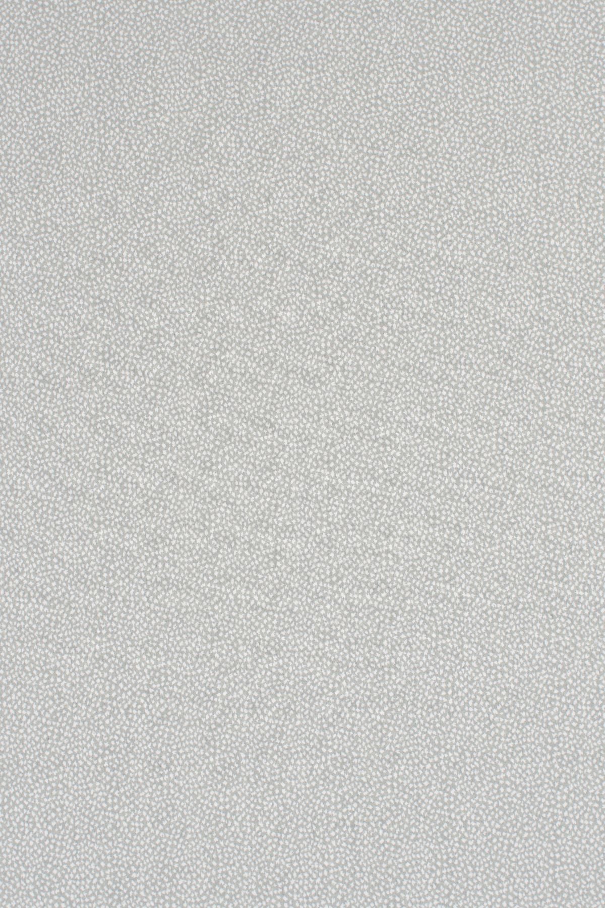 T01006982_ALT2