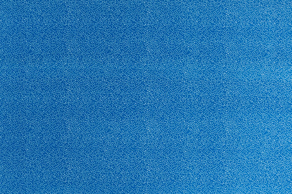 T01007025_ALT2