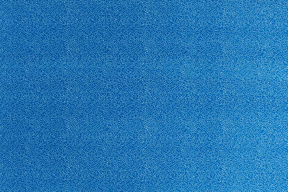 T01007025_ALT2