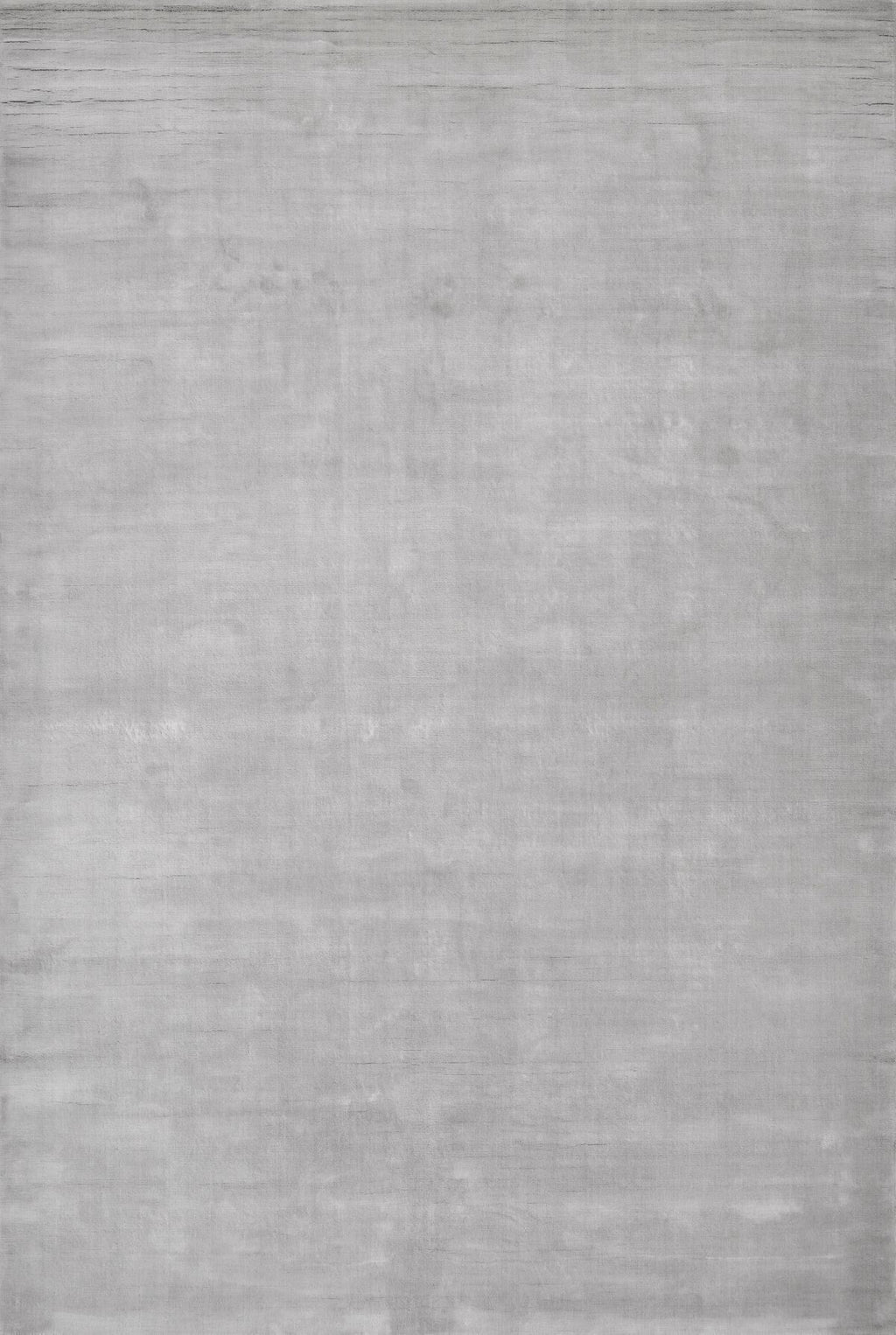 T01007602