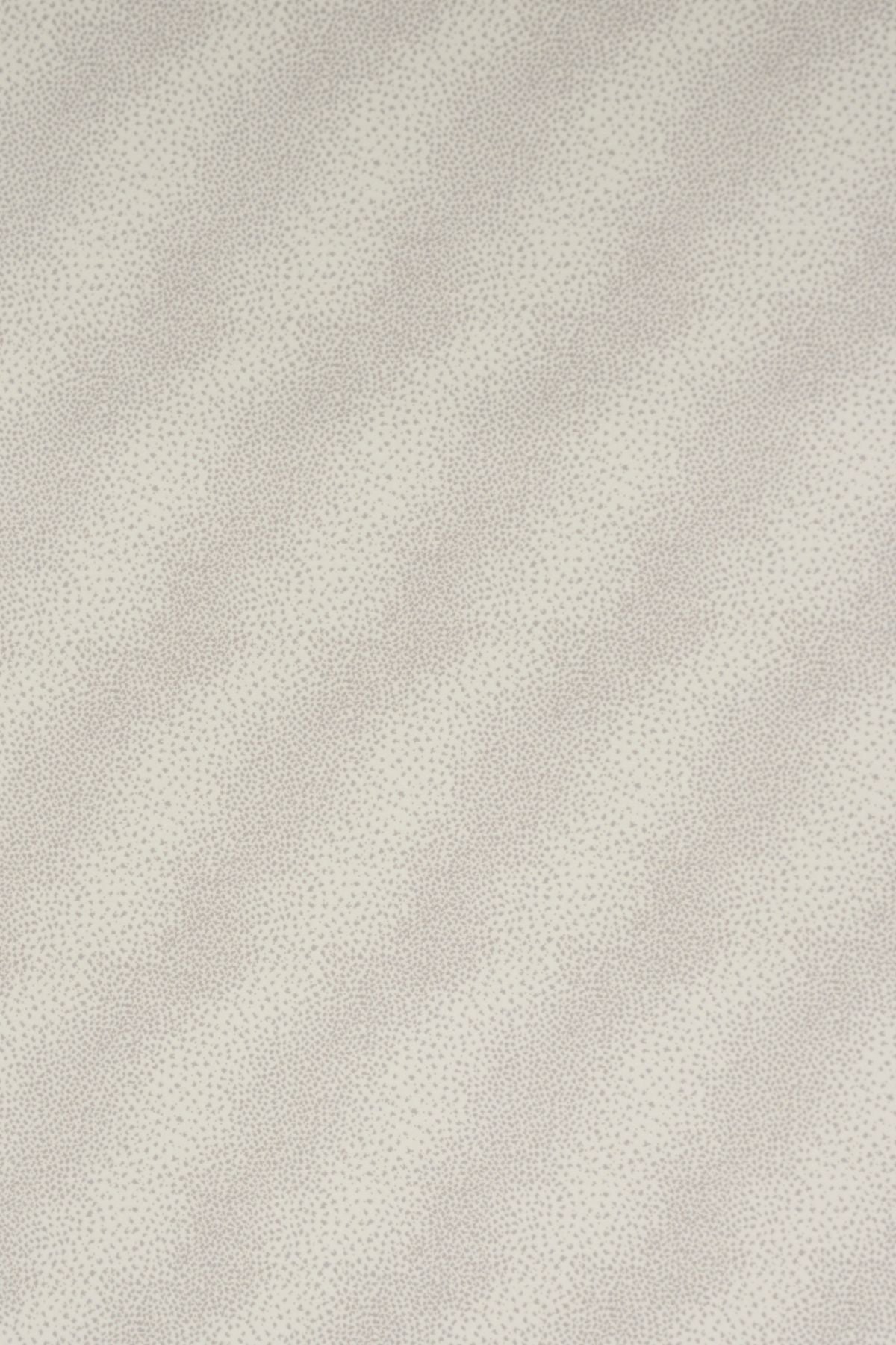 T01008056_ALT2