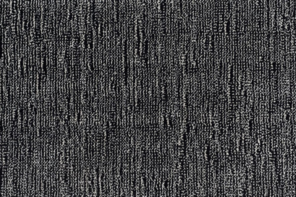 T01008847_CL