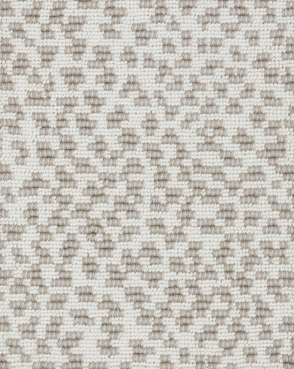 T01008942_SAMPLE