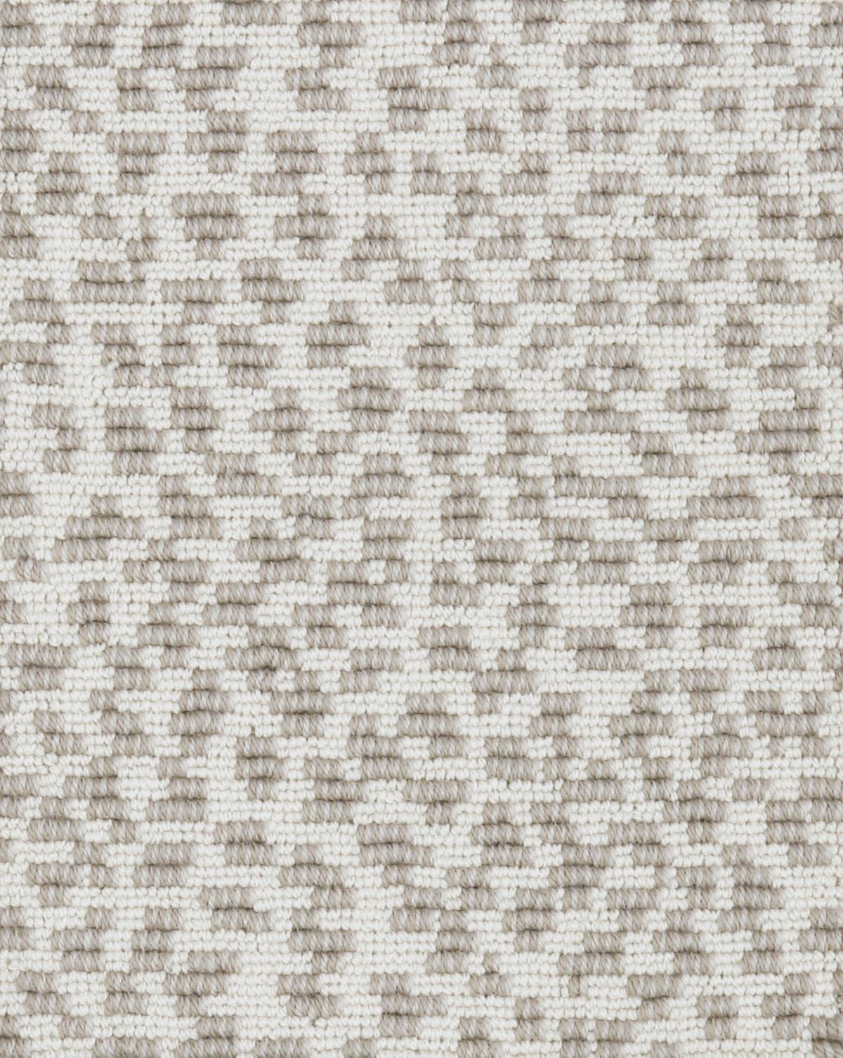 T01008942_SAMPLE