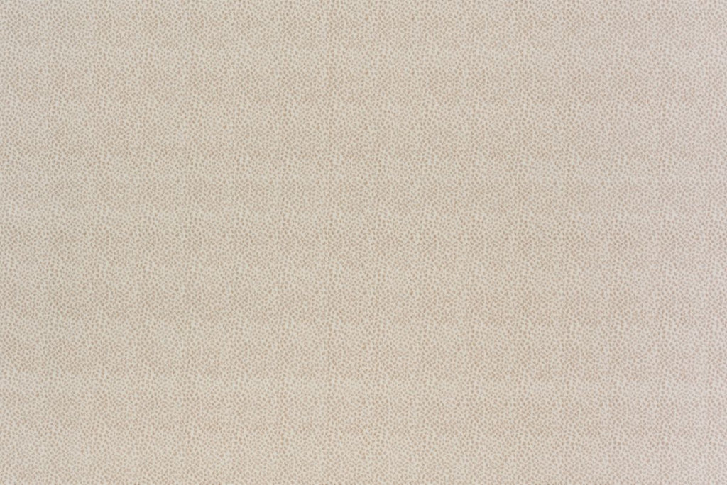 T01008945_ALT2