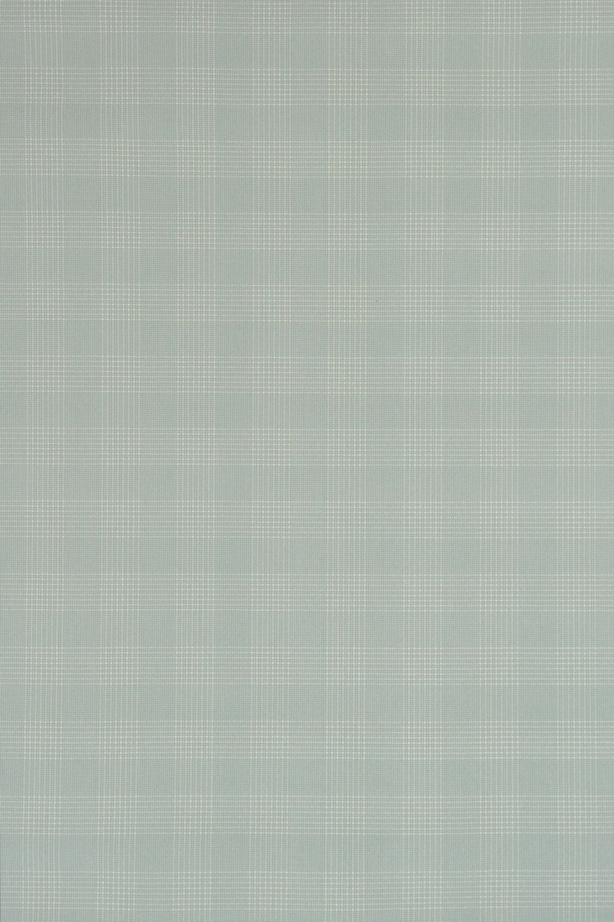T01009015_ALT2