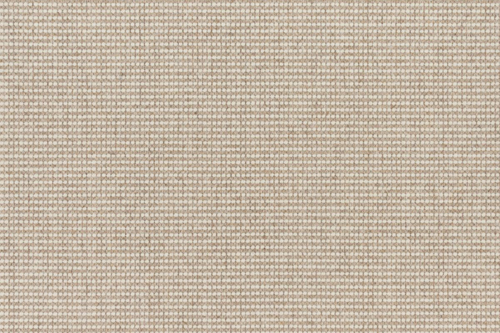 T01009108_CL