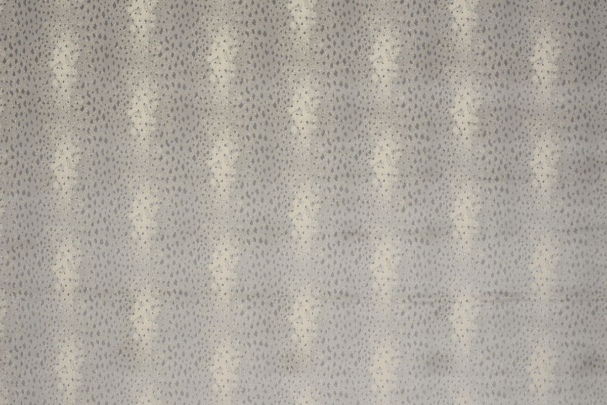 T01009577_ALT2