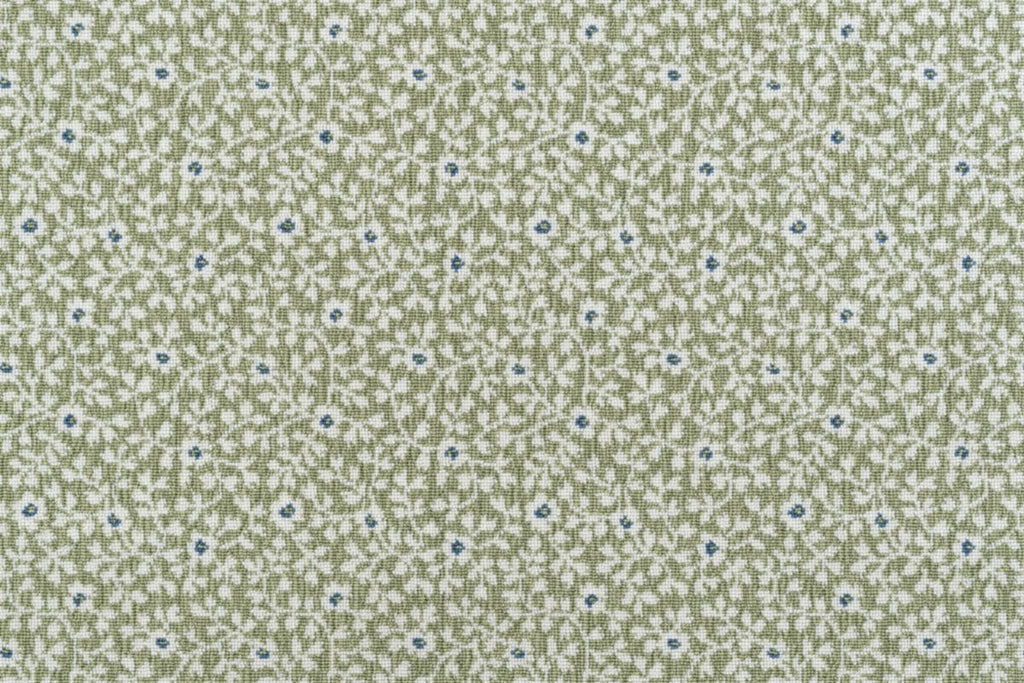T01010024_CL