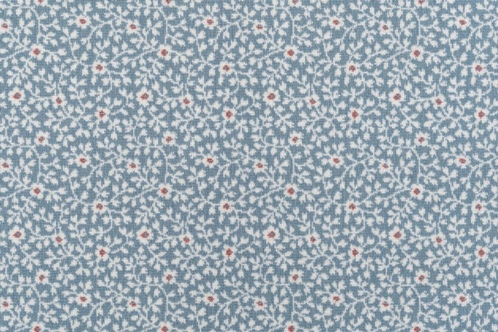 T01010025_CL
