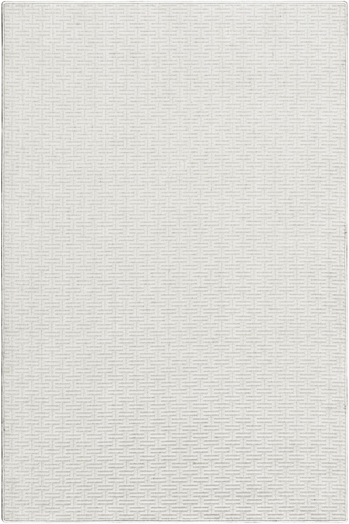 T01010031