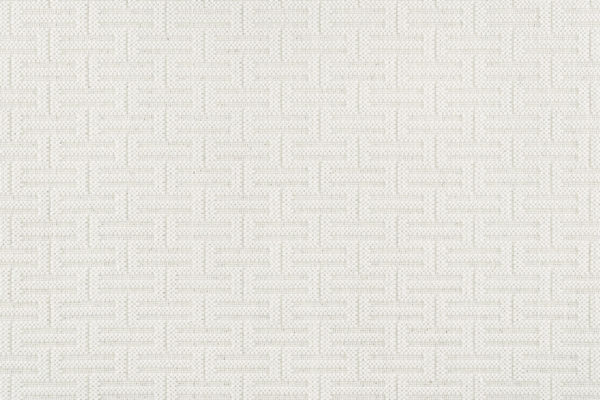 T01010031_CL
