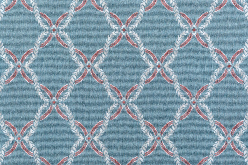 T01015045_CL