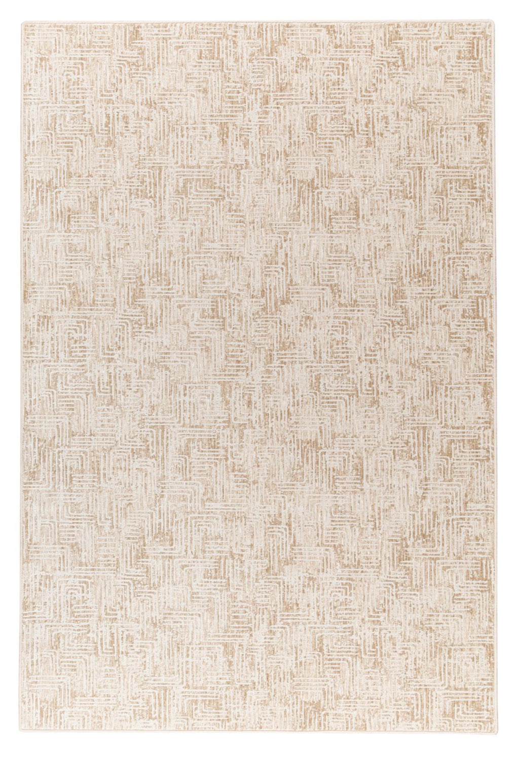 T01017086