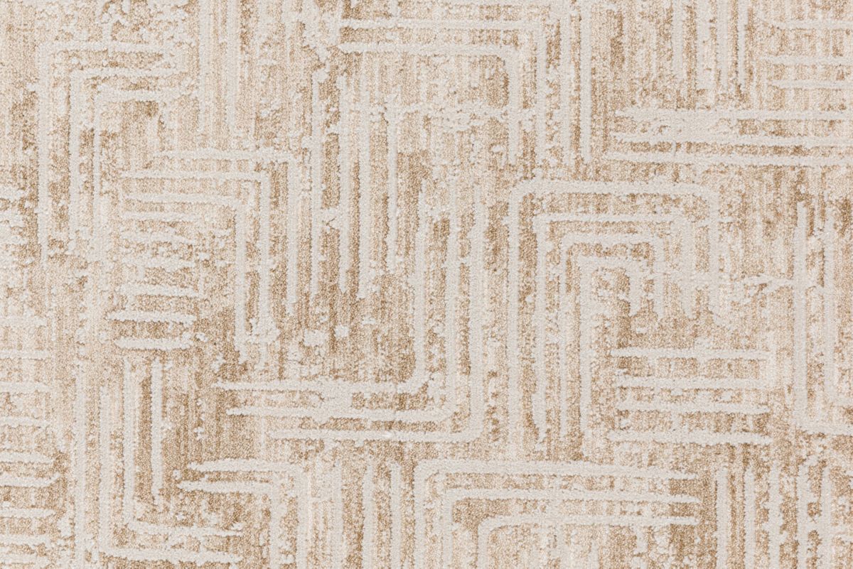 T01017086_CL