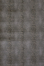 Titanium