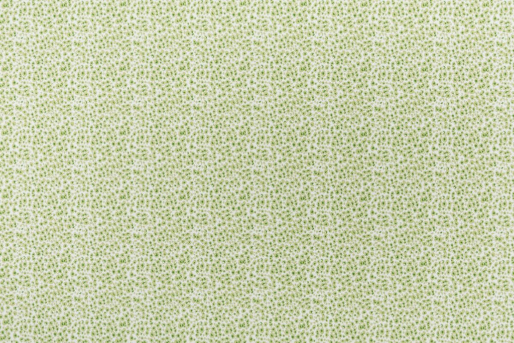 Margarita/grass