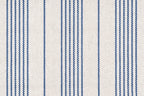 Cornflower/royal